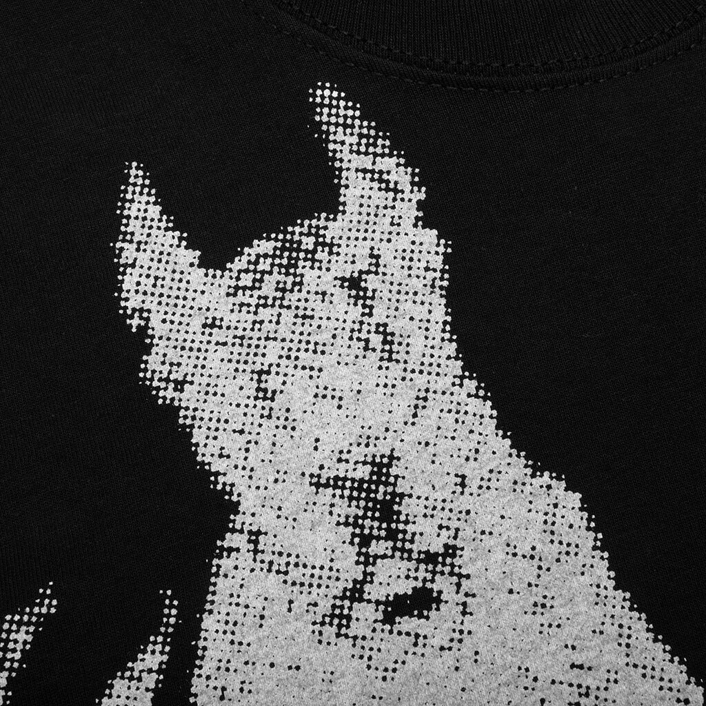 Dobermans Tee - Black, , large image number null