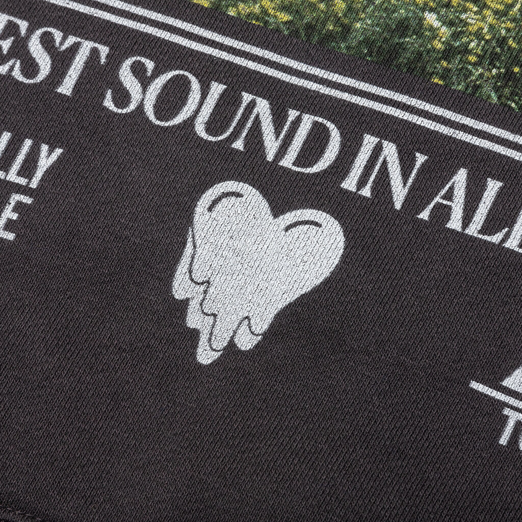 Saddest Sound Hoodie - Black, , large image number null