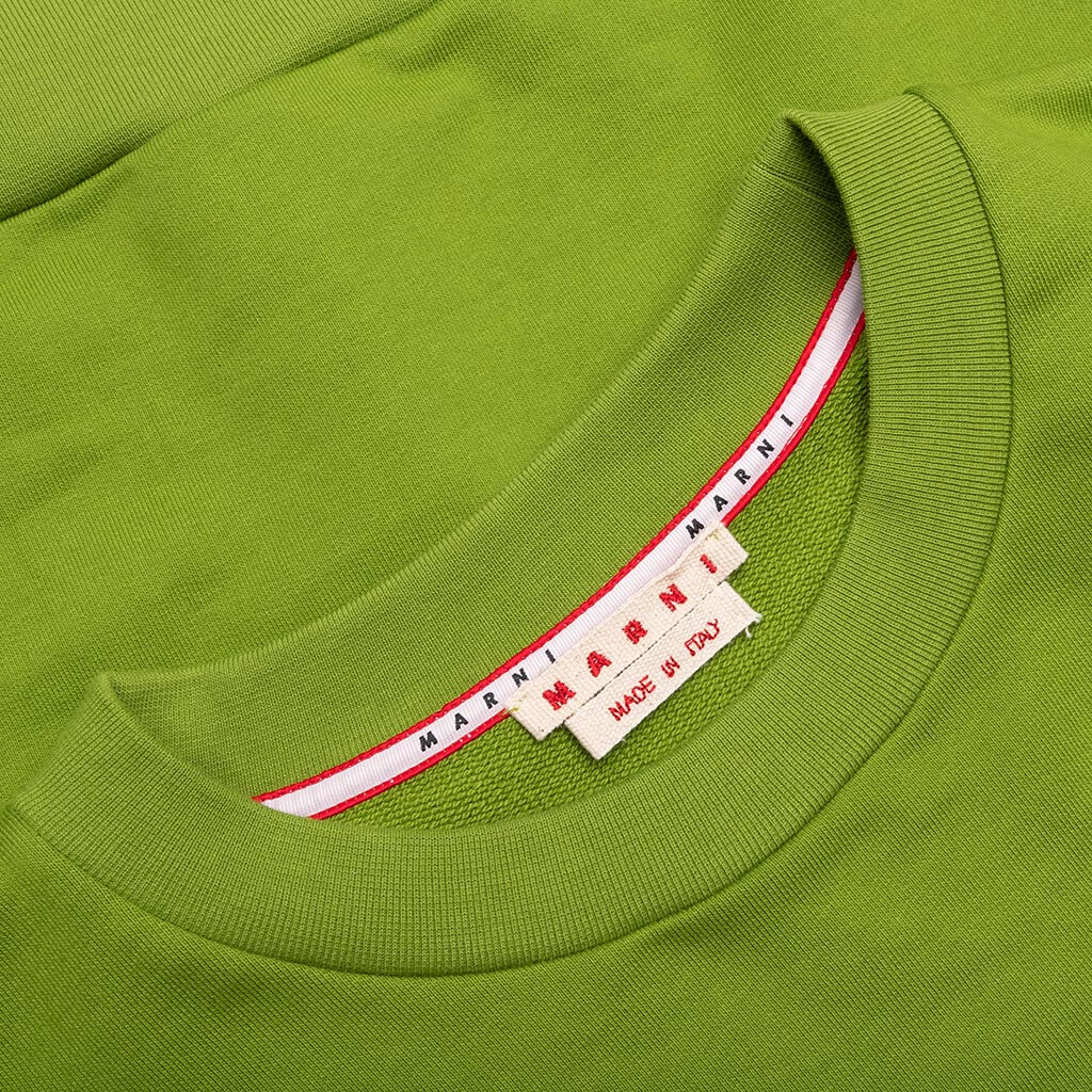Sweatshirt - Kiwi, , large image number null