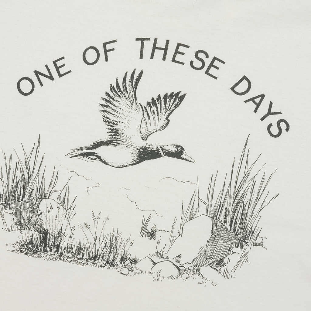 One Of These Days Mallard Hunt Tee - Bone, , large image number null