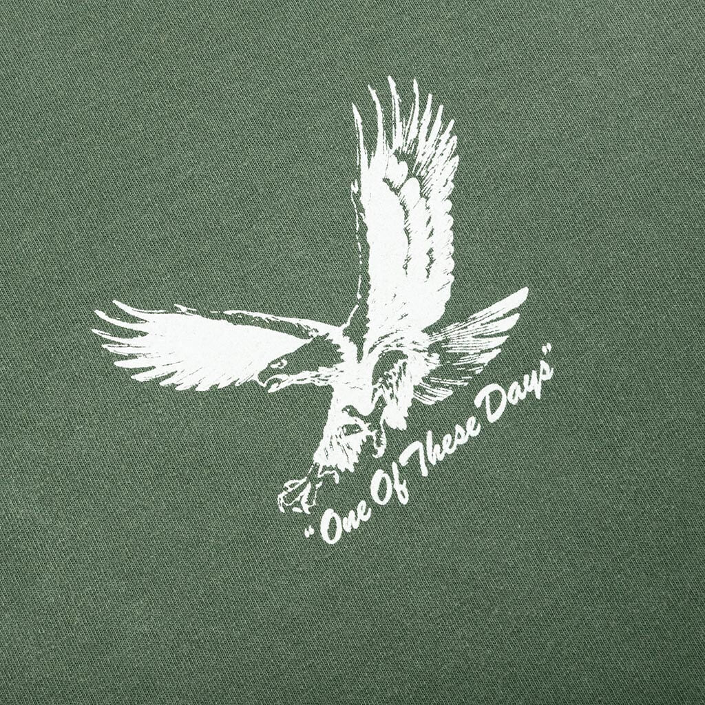 Screaming Eagle Tee - Washed Forest Green, , large image number null