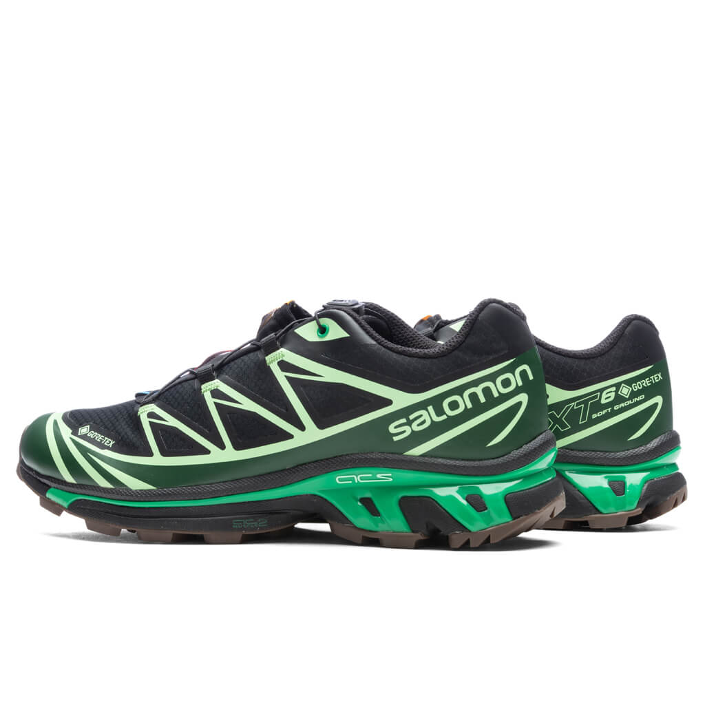 XT-6 GTX - Black/Eden/Green Ash, , large image number null